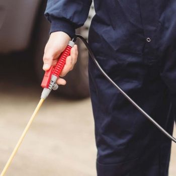 ابادة العته