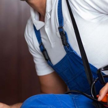 ابادة الفئران