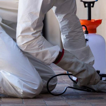 ابادة الحشرات الطائرة